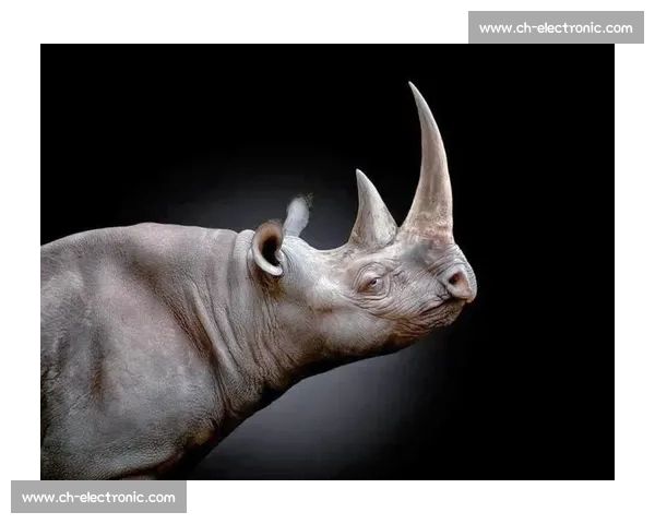 探索视觉艺术的极限:2026年国际摄影大赛创意作品征集